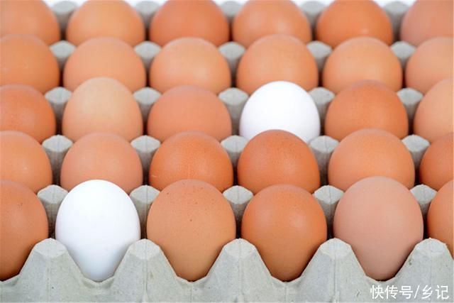 买鸡蛋的时候,怎样分辨出人造蛋都有哪些方法
