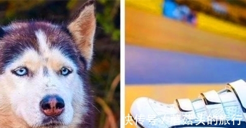 即便是学霸也并不一定知道的8个冷门的小知识