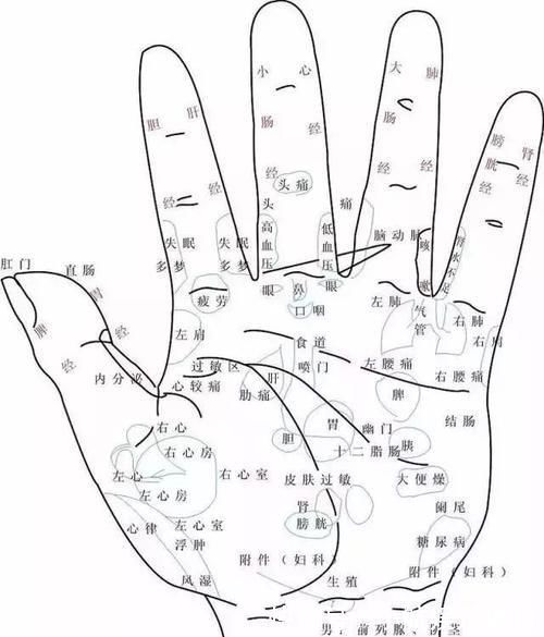 心脏病|五指通全身,手指养生的秘密都在这里!值得一看!