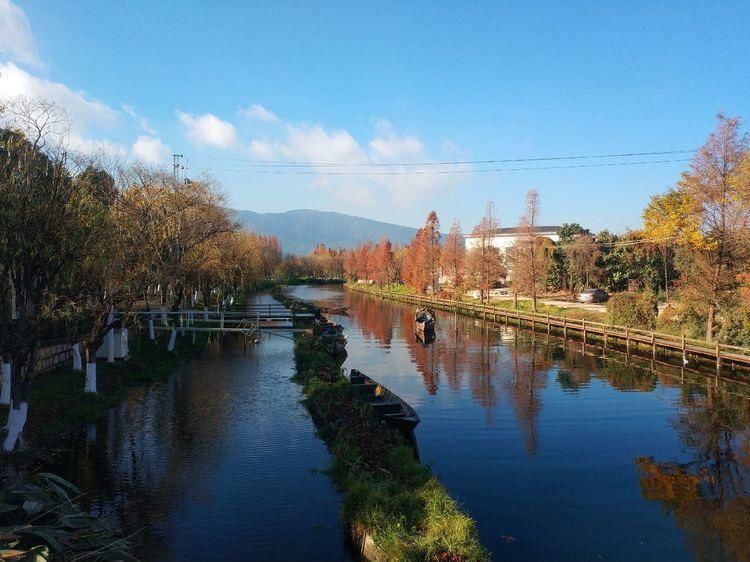 船房河走到滇池边，冬日赏海鸥、走湿地，惬意