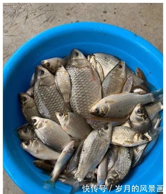 冬天钓鱼切忌死守,跟上鱼儿的节奏,全天都能上鱼