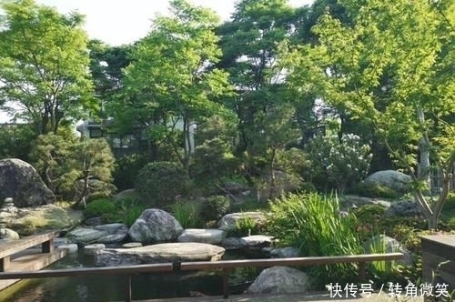 想有个带院子的房子,看花开叶落一辈子,让生活变成一件浪漫的事