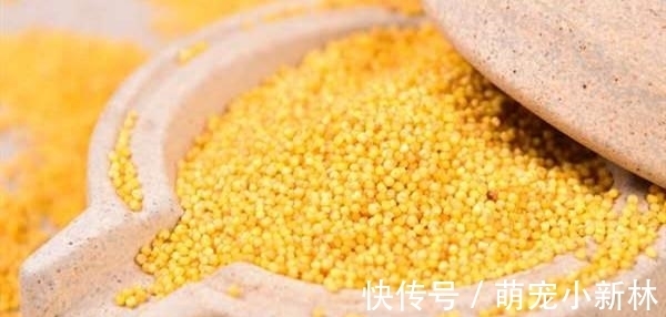 米油|熬小米粥时,直接用水煮是错的,大厨教你一招,米粥香浓油润好喝
