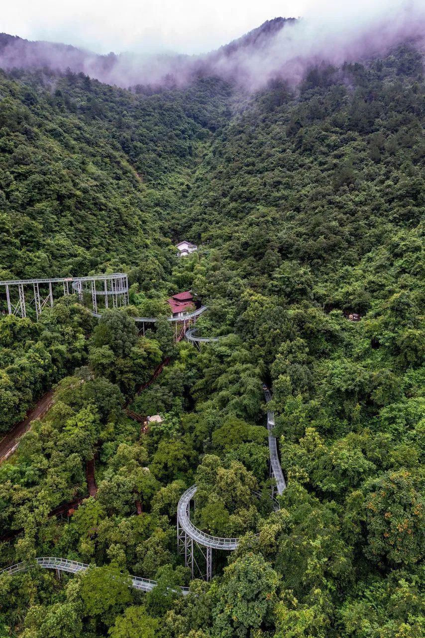 全球最佳旅行目的地公布，中国这座唯一入选的小城，美得诗情画意