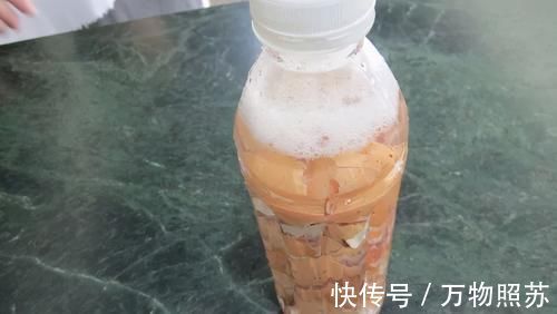 蛋壳|拿到蛋壳别急着养花,按“这要求”处理,给植物施肥才不出问题