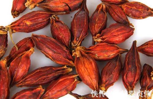 涨知识|中医入门寒、热、温、凉,4类药材运用经验!(涨知识)