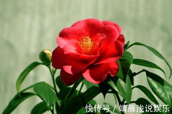 身边人&俗话:天狂有雨,人狂有祸,再有本事也别说4句话,才能福从口入