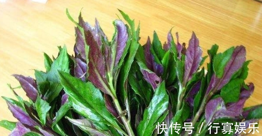 野菜|农村的这种可口野菜，妈妈经常种，长大了才知道它的名字和价值！