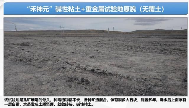 修复|矿山微生物生态修复技术交流会圆满召开