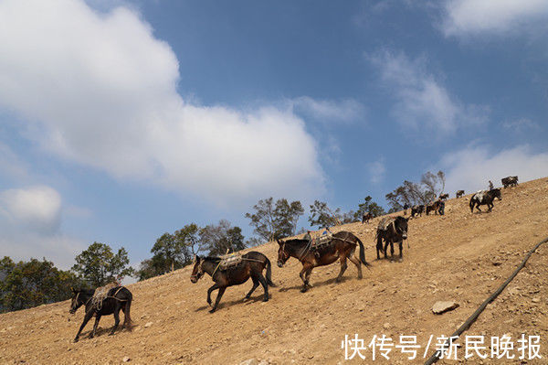 筑梦冬奥工程，共赴冰雪之约