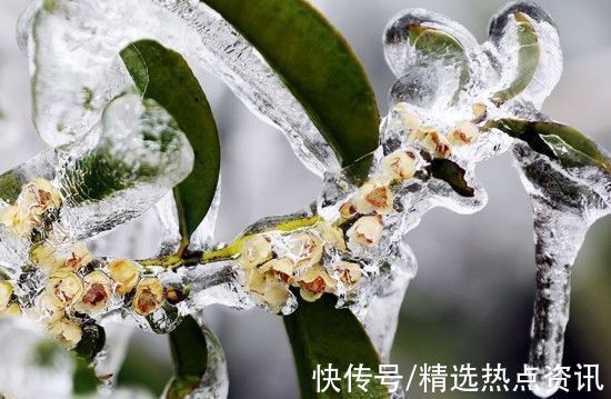 潘志祥|广西：桂北地区上演“冰雪奇缘”