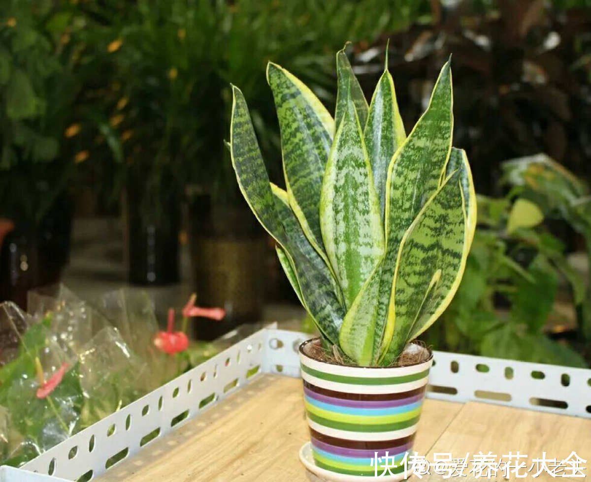 今年下半年起,农村严查3种“小生意”,严重的会被直接判刑