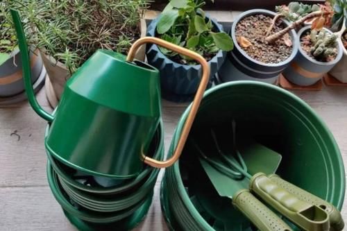 养花换盆期间有很多“讲究”，弄清楚，换完植物猛窜个长花叶