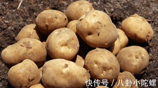 激素|打了激素的土豆怎么区分?内行人教你3招,回回买到优质土豆!