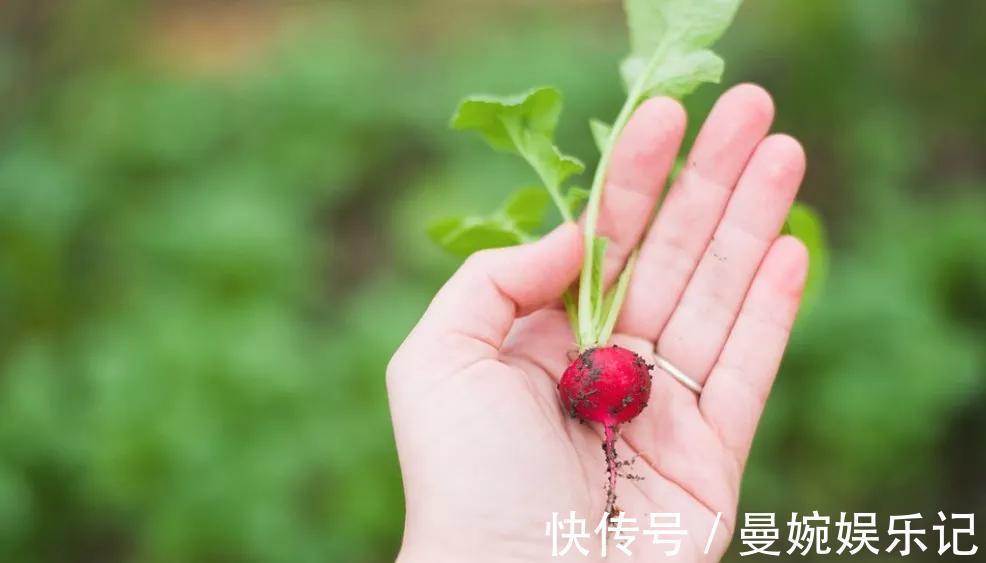 补钙|补钙是牛奶2倍,补钾是香蕉6倍!这些蔬菜才是真正的营养冠军