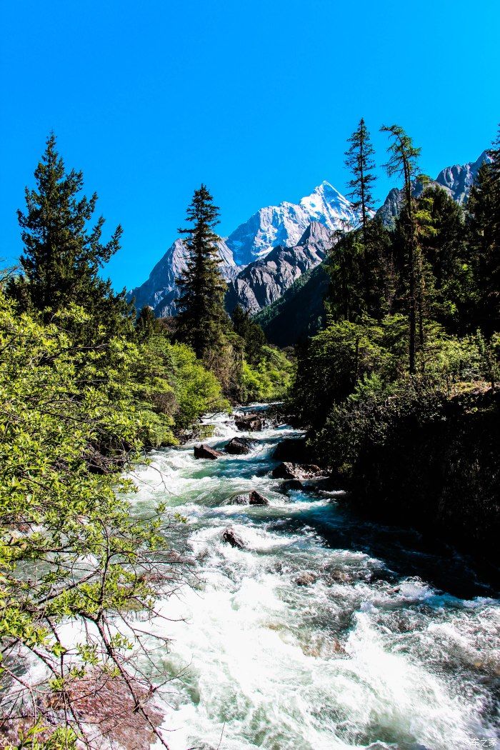 枯树滩|东方圣山，户外天堂——四姑娘山自驾徒步之旅