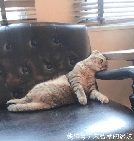 |搞笑GIF:原来摩托车的前面凸起完美配合了大姐的身材