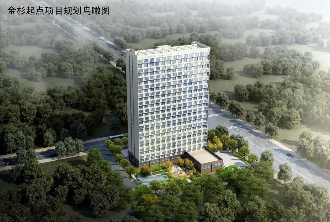 城区|最新！日照主城区土拍楼面地价排行榜前20名出炉