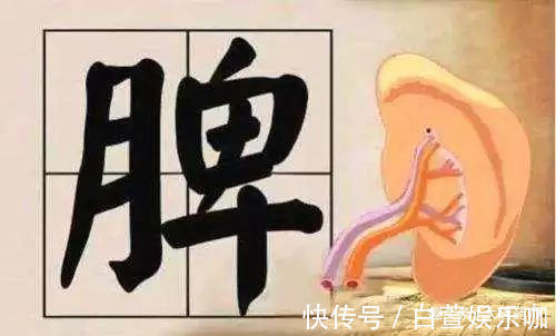 脾阳|脾虚百病生!一文区分脾气虚、脾阴虚、脾阳虚,辨证调理疾病远离