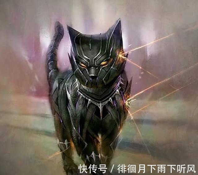 黑豹|当超级英雄变成猫，黑豹这回成了黑猫，死侍版噬元兽裹得太严实了