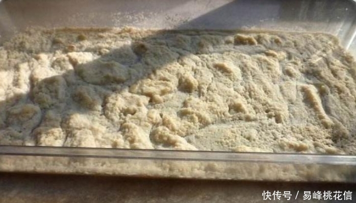 喂猪的东西，用来养花，花开起来迷死人！