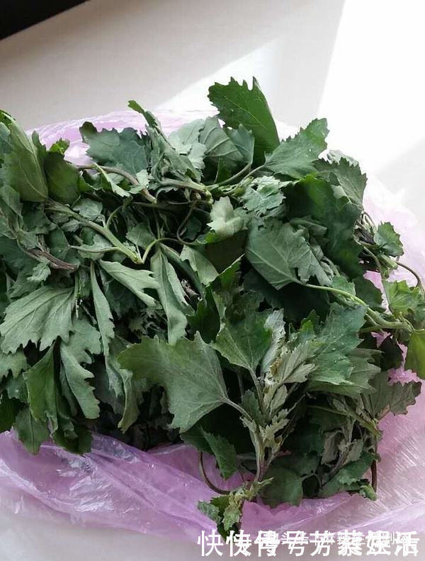 骨头|补钙第一菜找到了,比喝骨头汤强,一分钱不花,补钙质,骨骼强壮