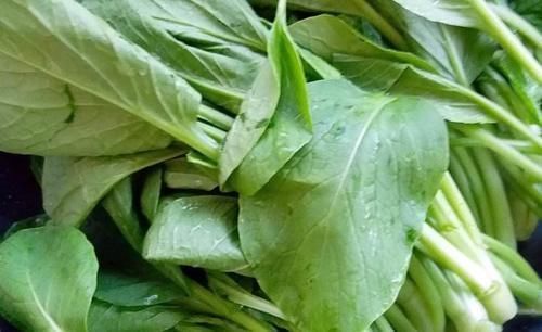 这菜常吃但没包过饺子,比白菜便宜,比人参营养,30个不够吃