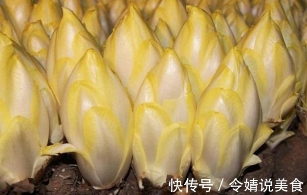 花盆|路边捡个“废根”,扔花盆里,2个月长成高价盆栽,一斤卖80元