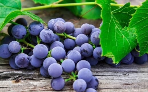 老人吃什么补血你知道吗？都给你整理好了，快转发收藏。