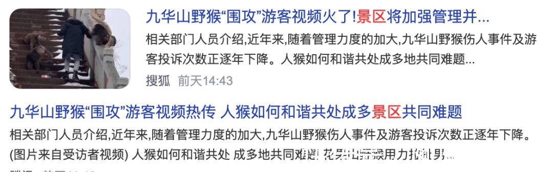 千岛湖景区|野猴伤人推人事件频发,为什么杭州千岛湖景区里的就那么听话?