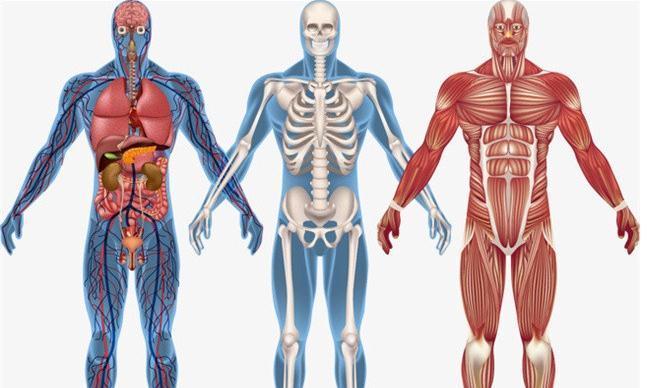 钙片|骨质疏松，钙片什么时候吃最好？会不会致肾结石？