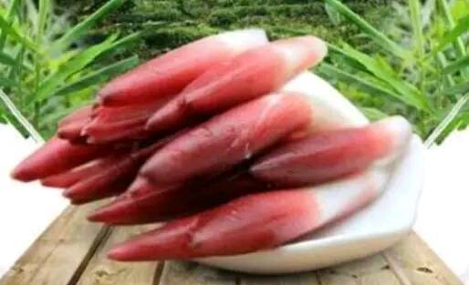 阳荷|女性常吃一物,不咳嗽了,月经规律了,子宫也越来越好,不妨试试