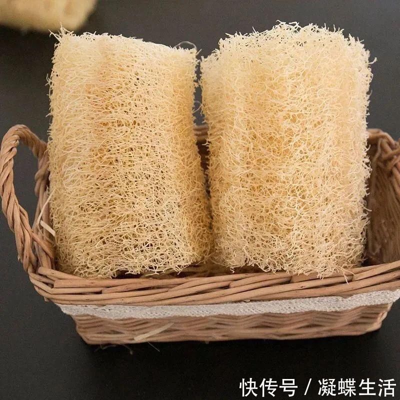 煤渣|换盆时，花盆里垫上这5种小东西，透水又透气，再也不怕烂根啦