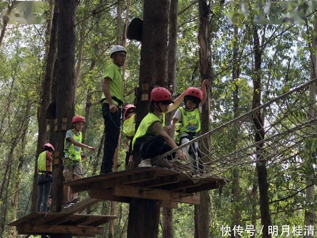 亲子大作战飞越丛林、默契考验……桥南街萌娃和父母户外拓展，尽享天伦之乐