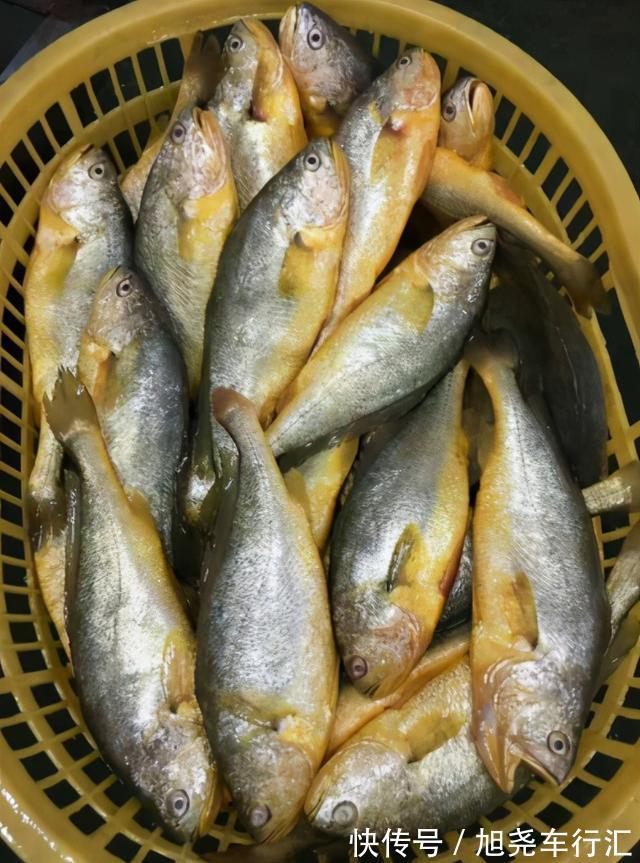 吃法|天热吃鱼，内行人专挑这4种海鱼，营养美味还便宜，再贵也值得
