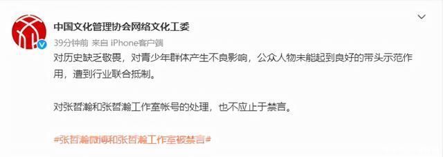 中网工委|中网工委就张哲瀚事件发声:对张哲瀚帐号处理不应止于禁言