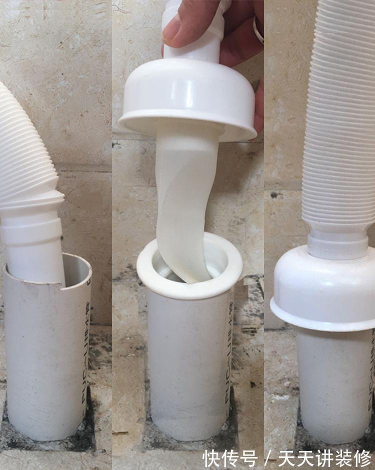 卫生间|卫生间里的小飞虫是什么?只需三步,就能彻底杜绝!