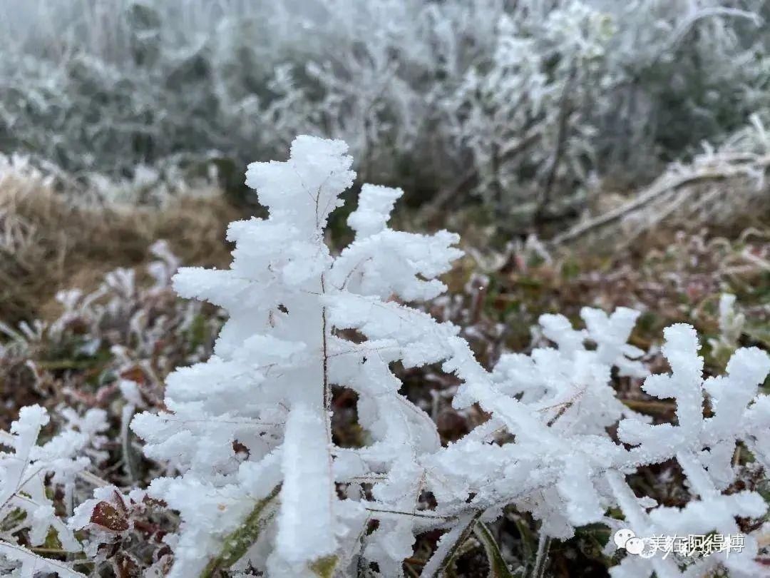 记忆 ｜寒潮再次来袭，还记得前几天的雪吗？