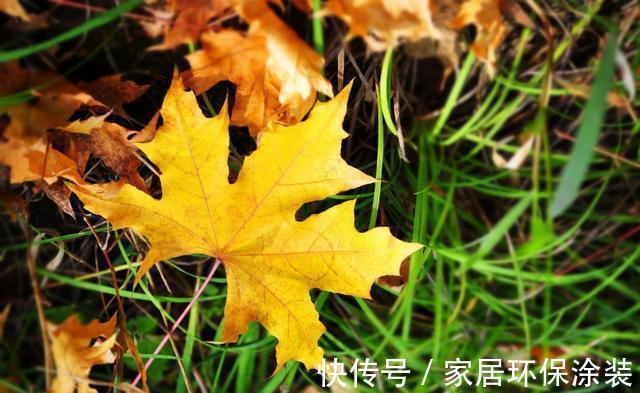 旧爱|从10月5日开始，前任转身，旧爱回头，携旧爱一同踏向明天