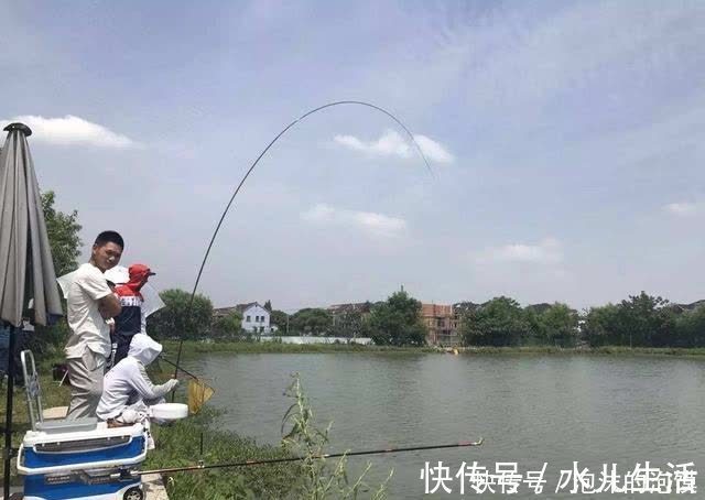 盘点几种夏天野钓的天然重窝，切记准备要大钩粗线