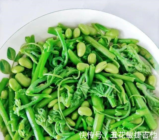 法-1|入秋后,茄子豆角不如它!成本不到2块钱,排毒清肠,滋阴养肾!