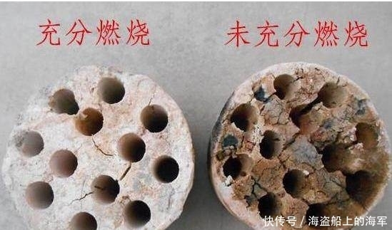 这种材料拿来养花,比你买的营养土好一百倍!这是城里人没有的