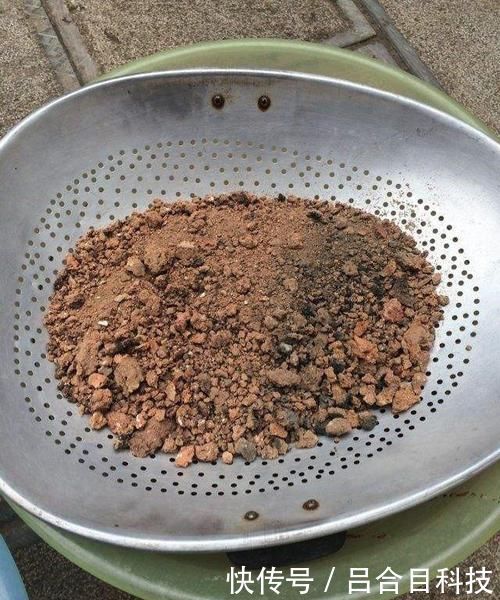 垃圾桶边的蜂窝煤渣,全被邻居偷偷捡回家,逼问才知有这奇用