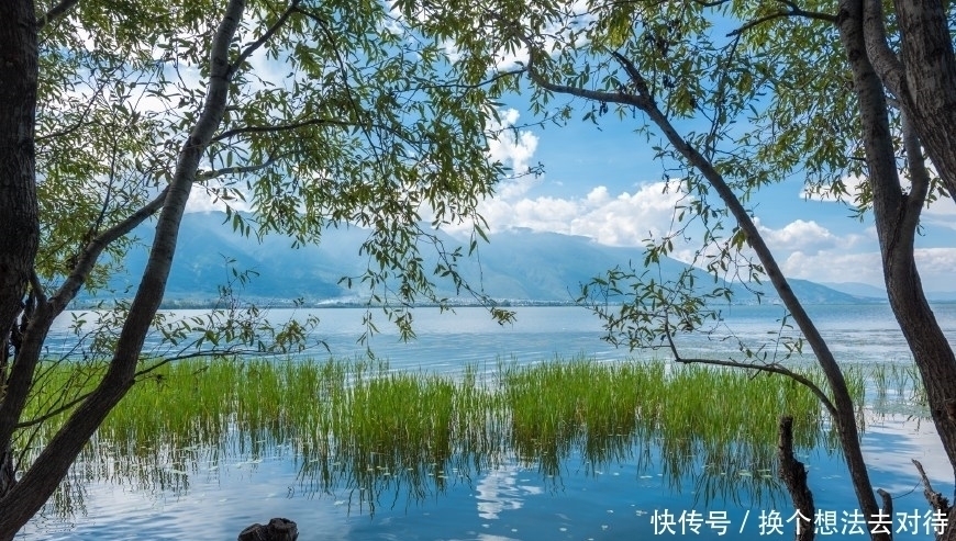 中年|洱海边最美的免费公园,非这座公园莫属