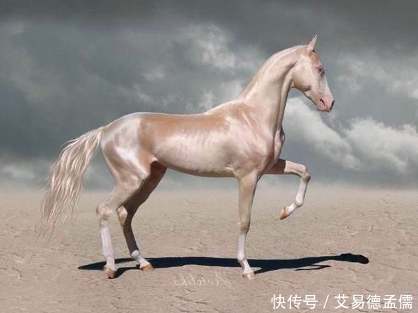 朱元璋|自古以来，十二属相最高成就都有哪些人？原来这一属相的人最厉害