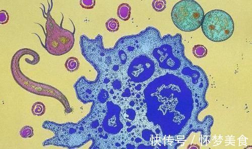 癌症患者|癌症自愈情况的出现,或许与4个方面也相关,不妨了解下