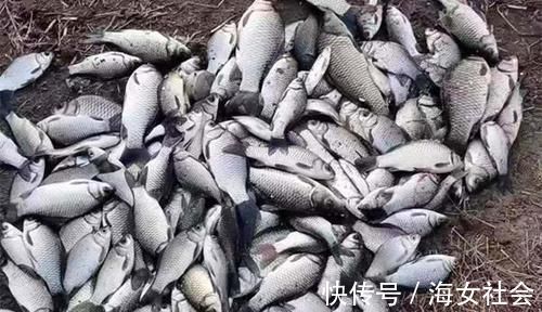 规律|冬季钓不到鱼?那是没注意这些规律,注意这些规律,渔获差不了!