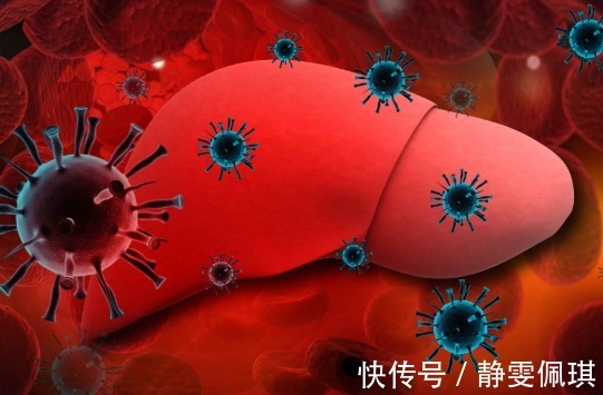 医药费|养肝等于养命,6种养肝食物,懂得食用省点医药费