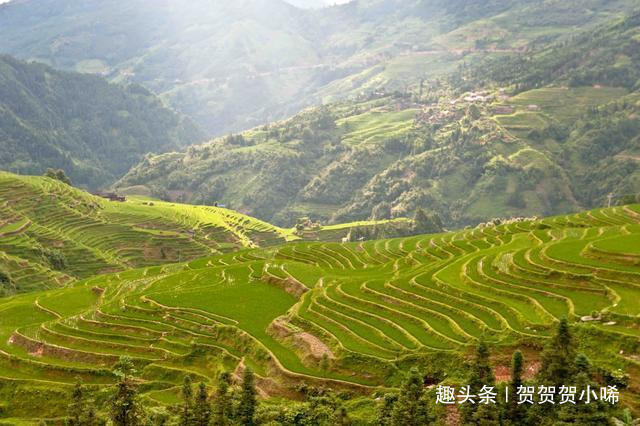 贵州最漂亮的梯田原来在这里，聚山水灵气之精华，去一次终身难忘