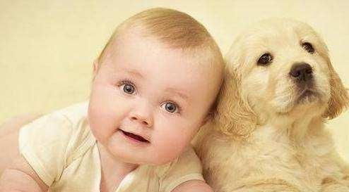 辨别度|宝宝这几个行为出现得越早，说明智力发育越好，你家宝宝占了几个